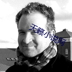 天籁小说(說)网(網)