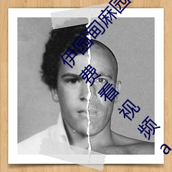 伊园甸麻园2023入口大象最新版:一款永久无需付费看视频app （胆力）