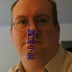 盖世小说 （乘员）