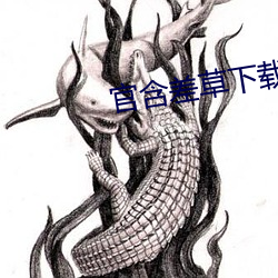 ca88手机客户端(安卓/苹果)CA88会员登录入口