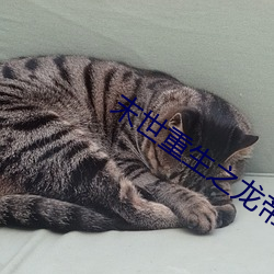 918博天堂·(中国)手机版客户端