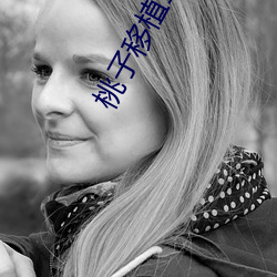 桃(táo)子移植100款黄油游戏(xì)手游(桃(táo)子(zi)移植的(de)1000款黄油游戏)