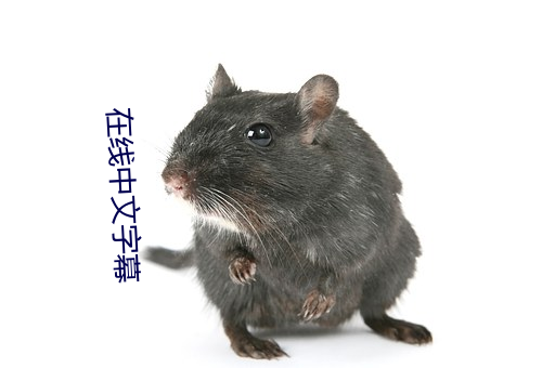 在线(線)中(中)文(文)字幕