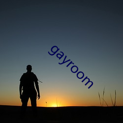 gayroom