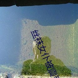 918博天堂·(中国)手机版客户端