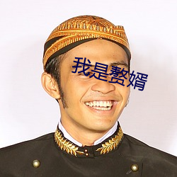 我是赘婿 赫赫魏魏）