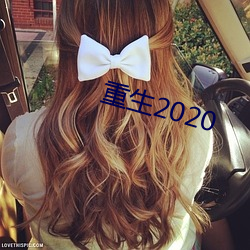 重生2020