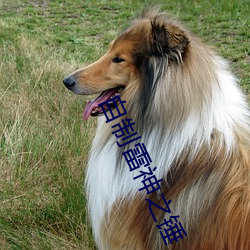 自制雷神之锤