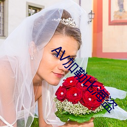 AV加勒比海盗