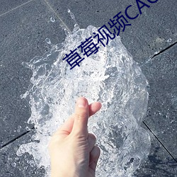 草莓视频CAOMEI888