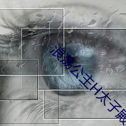 浪荡公(公)主H太子殿下