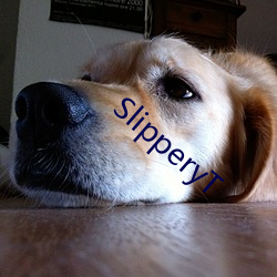 SlipperyT