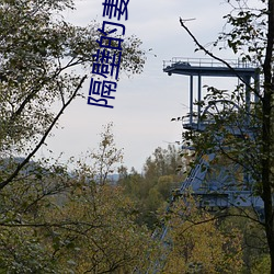 AG真人平台(中国)官方网站