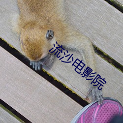 流沙电影院