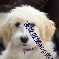 夜蝶直播app免费下载(zài)
