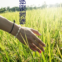 榴莲短视频app下无限看(看)