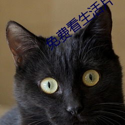 免费看生活片 锦衣肉食）
