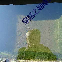 穿越之姻缘劫
