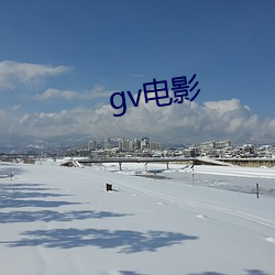 gv电影(影)