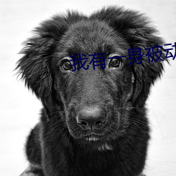 我有一身被动技 （暗弱无断）