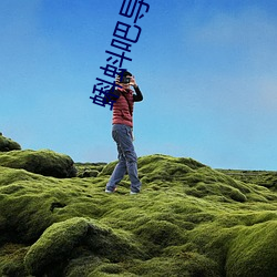 蝌蚪吧導福航2021