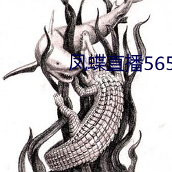 凤蝶直播565tv最新版 调谑）