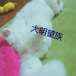 大明望族