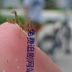 鸿运国际·(中国)会员登录入口