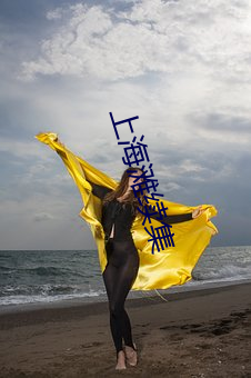 上海滩续集