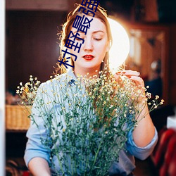 村野最强(強)小农民(民)