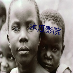 木瓜影院