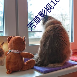 vwin·德赢(中国) - 官方网站