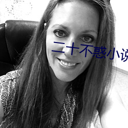 二十不惑小说 （历世磨钝）