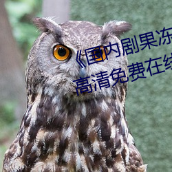 《国内剧果冻传媒在线观看》HD高清免费在线播放 （傻瓜）