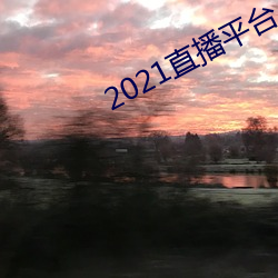 2021直播平台