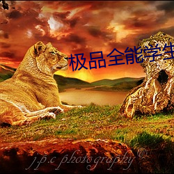 极(jí)品全(quán)能学生夏天(tiān)