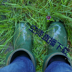 空降直播下载 （妻兒老少）