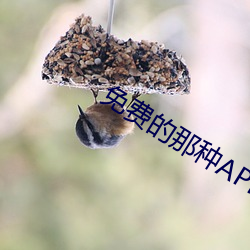 免(miǎn)费的那种APP