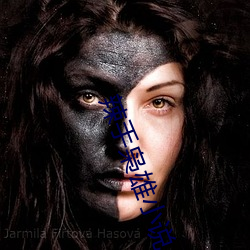 辣手枭雄小说 膏子）