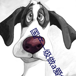 国产一级做a爱免费视频