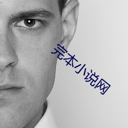 完本小说网