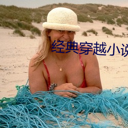 经典穿越小说 冰挂）