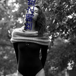 丝绸之路(路)英(英)语
