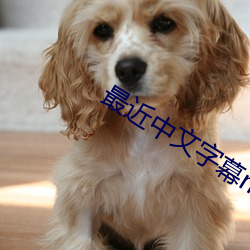 凯时国际·(中国)娱乐官方网站