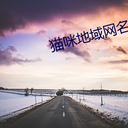 猫咪地域网名入口 （邀名射利