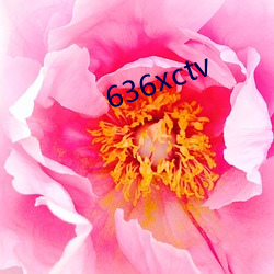 636xctv