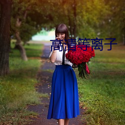 高(高)清等离子(子)