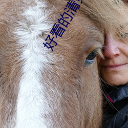 好看的清穿小说