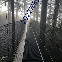 2022年时政热点