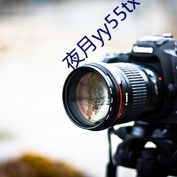 夜月yy55tx （井台）